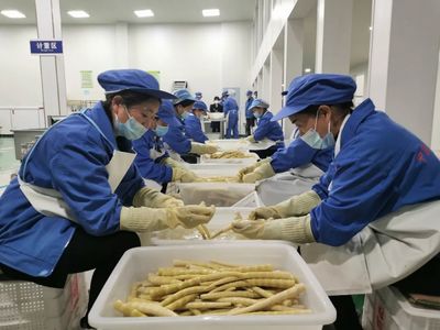 桐梓 龍頭企業帶動方竹筍精深加工，助推食品產業高質量發展
